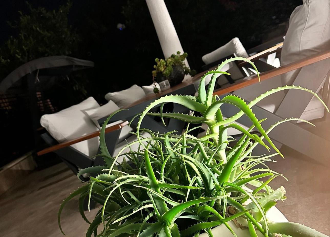 Noa Suite Hotel Only Adult Bodrum Exteriör bild